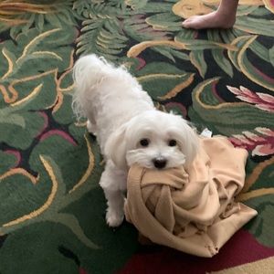 Meet your Posher, Jill